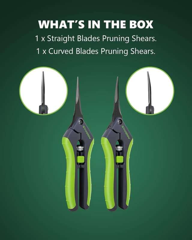 Thumbnail 4 de STAYGROW Präzisionsscheren 2er Set 16,5 cm