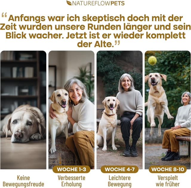 Detalle de Gelenktabletten Hund 100 Stück – mit Grünlippmuschel