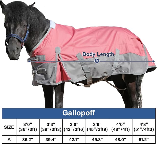 Thumbnail 5 de Mini Shetland Pony Turnout Rug 3'3