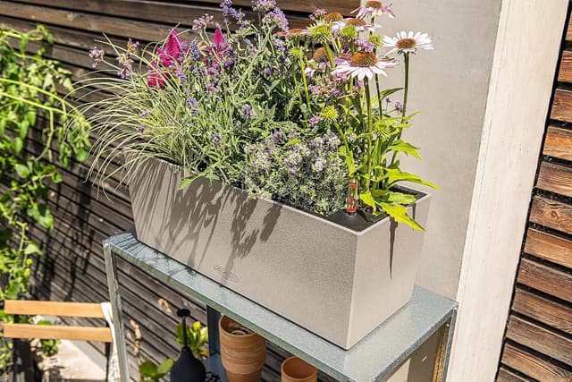 Thumbnail 6 de Lechuza Balconera Stone 50 sabbia beige