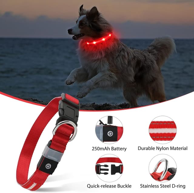 Detalle de MASBRILL Light Up Dog Collar (Rechargeable LED, Waterproof) – Red, Adjustable for Small to Large Dogs (S)
