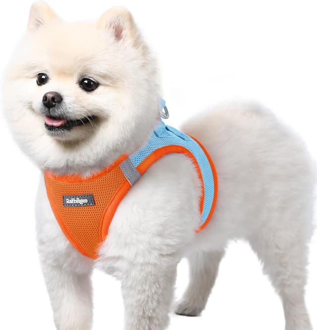 Detalle de rabbitgoo Dog Harness Small Dog Step-in Soft Mesh Puppy Harness with Reflective Strips (Blue & Orange) – S