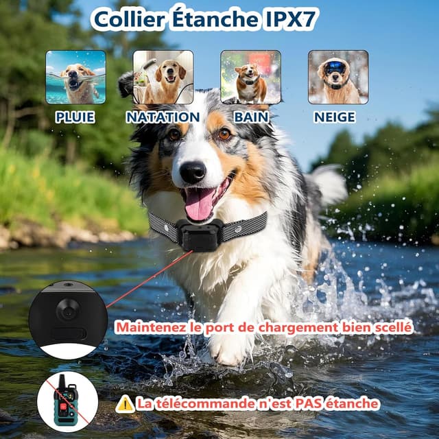 Thumbnail 6 de Collier de dressage 300 m Vert Foncé