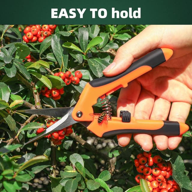 Thumbnail 5 de Secateurs Pruning Scissors 3 Pack