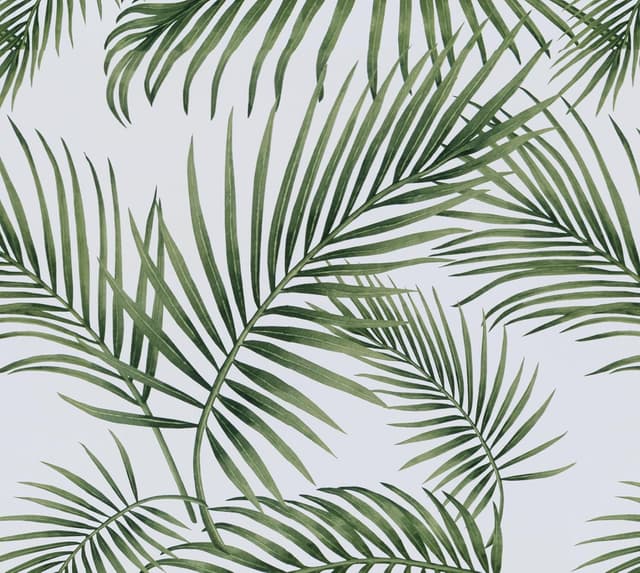 Imagen de Hode Papier Adhesif Feuilles de Saule 44x5m en OfertitasTOP