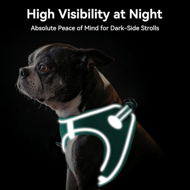 Detalle de Joytale reflektierendes, weich gepolstertes Hundegeschirr mit Air-Mesh (XXS, Türkis)