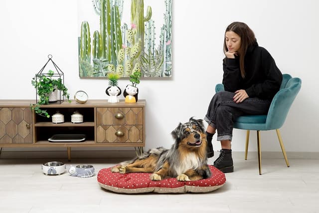 Detalle 2 de Baroni Home Cuscino Ovale per Cani e Gatti in tessuto con morbid foam, imbottito (62x100x9 cm) beige e rosso cuori