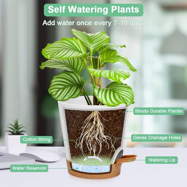 Detalle de OFFCUP Vasi Autoirriganti 16,5cm