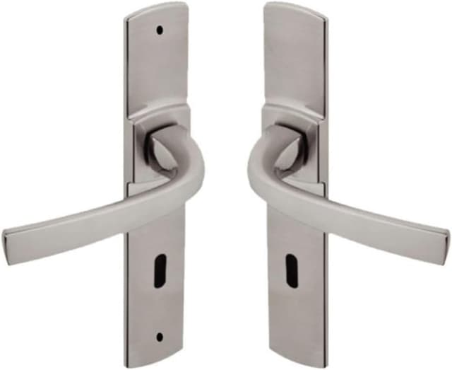 Detalle de Vachette MUZE Poignée sur Plaque 195 mm