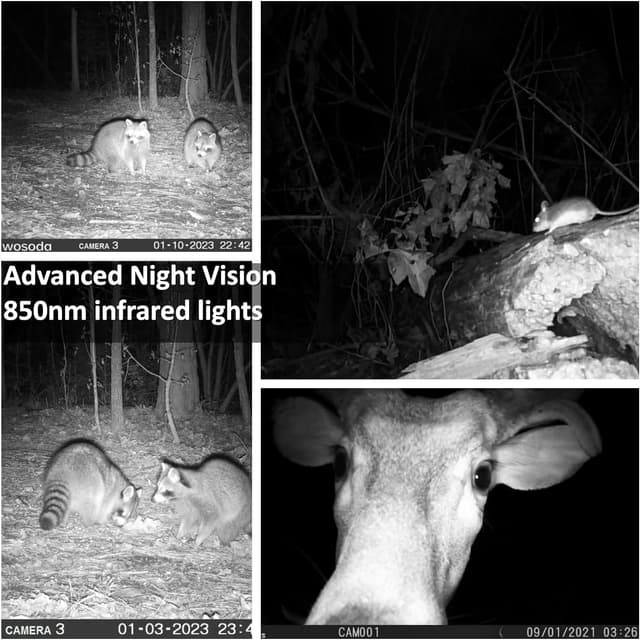 Detalle de WOSODA 2-Pack Trail Cameras (Night Vision, Waterproof, 1080P HD) with 32GB SD Cards