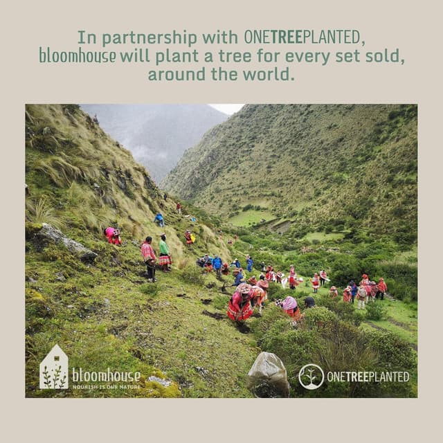 Thumbnail 6 de Bloomhouse Corsica Clay 16‑Piece Stoneware Dinnerware Set 🍽