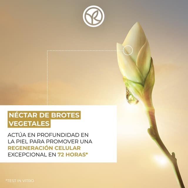 Thumbnail 2 de Yves Rocher ANTI-ÂGE GLOBAL - Sérum Anti-envejecimiento 🍃