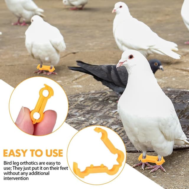 Thumbnail 1 de BNGXR Küken Beinspange 12 Stück