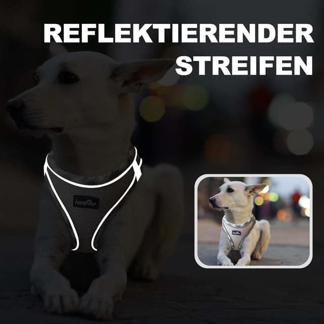 Thumbnail 4 de haapaw Hundegeschirr und Leine Set (kein Ziehen) mit verstellbarem, reflektierendem Step-in-Welpengeschirr