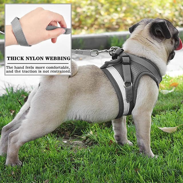 Detalle 2 de DARENYI Small Dog Harness and Lead (Adjustable, Breathable, Reflective) in Blue – Small