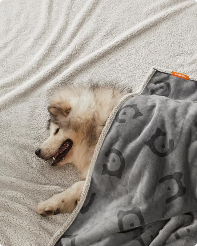 Detalle 2 de Feandrea Coperta impermeabile per cani e gatti XXL/XXXL (229 x 203 cm) in sherpa e flanella grigia