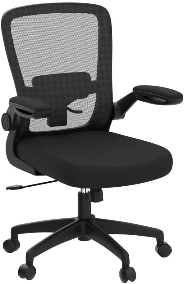 Thumbnail 4 de FelixKing Office Chair Ergonomic High-Back with Lumbar Support