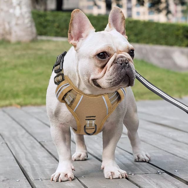 Detalle de HEEELE Dog Harness No Pull Large (Release on Neck) Bronze, L