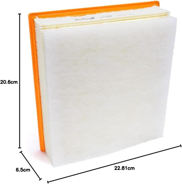 Detalle 1 de PURFLUX A1538 filtre à air moteur