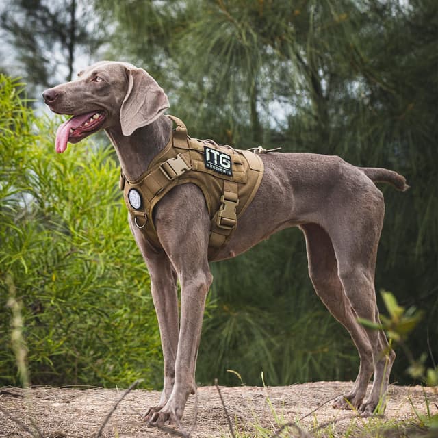 Detalle 2 de OneTigris FIRE WATCHER taktisches Hundegeschirr mit 1 Griff und MOLLE (1000D Nylon), XL, Braun