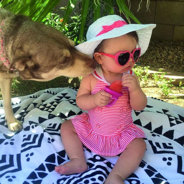 Thumbnail 1 de Nuby - Bandeja para polos multicolor - 4 moldes 🍧