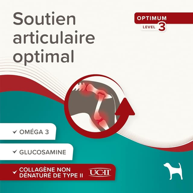 Detalle de Beaphar Flexifit – Bouchées Articulations pour chiens (niveau 3, 175 g)