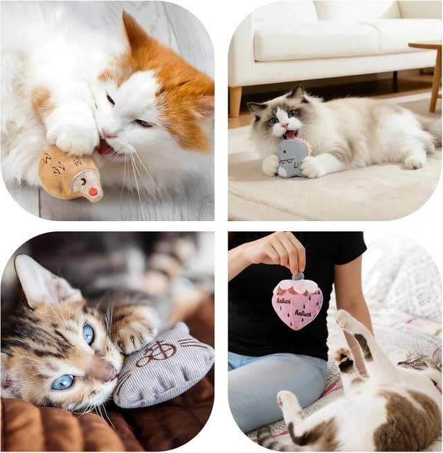 Detalle de Katzenspielzeug-Set mit Katzenminze: Katzenspielzeug Kissen & Matatabi-Sticks (37-teilig)