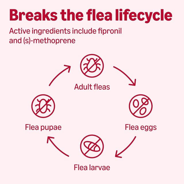 Thumbnail 4 de Amazon Basics Flea and Tick Treatment X-Large 3-count