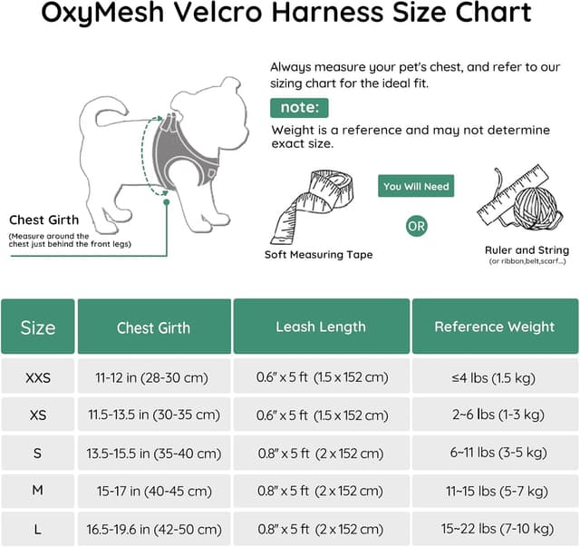 Detalle 2 de BELLA & PAL step-in dog harness and leash set for puppies (XS) – breathable air mesh with reflective strips, green