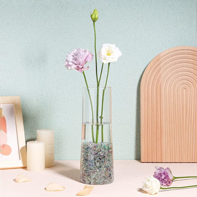 Thumbnail 5 de T4U Decorative Stones 450g gravel for succulents 🪨