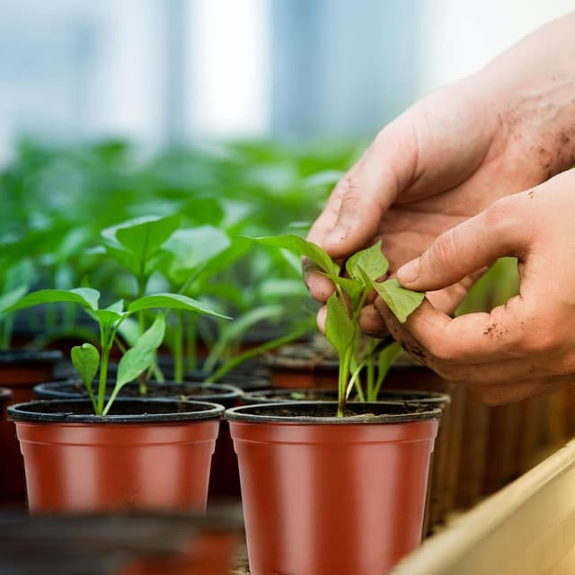 Thumbnail 4 de PEYOU 100Pcs Plant Pots 10cm reusable set