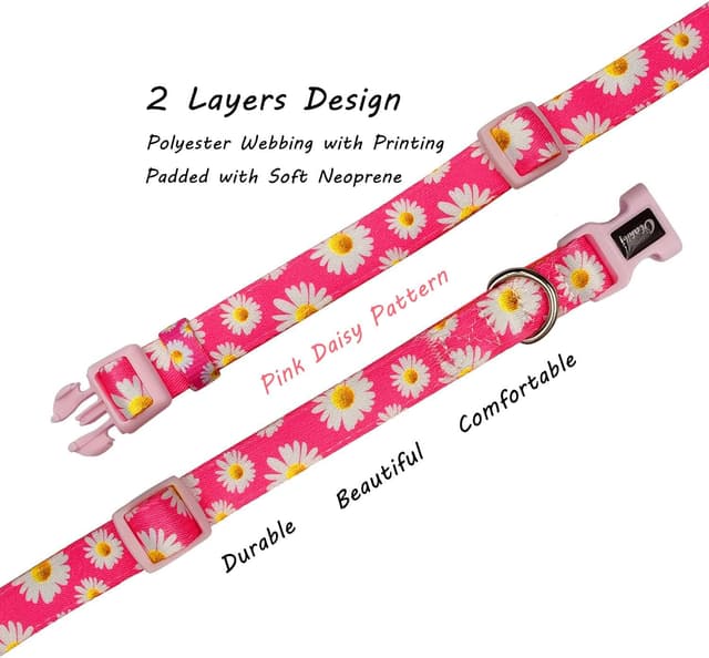 Detalle 2 de Olahibi Basic Dog Collar (S) Padded Neoprene Polyester Webbing with Daisy Pattern