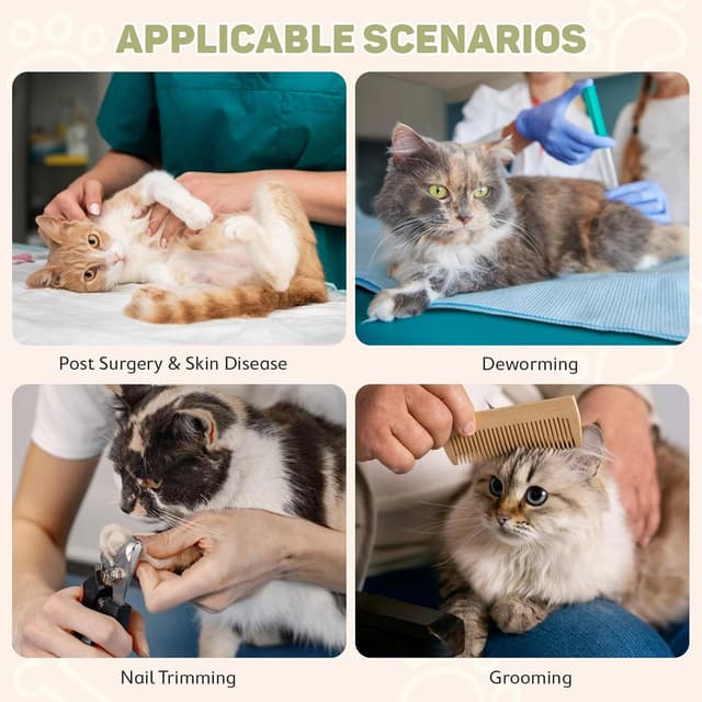 Thumbnail 6 de Avont Leicht Halskrause Katze – einstellbarer Leckschutz-Kragen für die Zeit nach der OP (M/Grün)