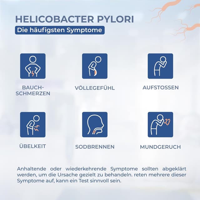 Detalle 2 de Helicobacter Pylori Schnelltest 2er-Set