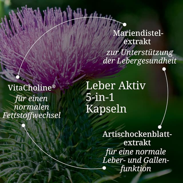 Detalle de BÄRBEL DREXEL Leber Aktiv 5-in-1 Kapseln (60 Stück) mit Cholin, Mariendistel, Löwenzahn, Artischocke, Piperin, Zink, Selen & Vitamin E