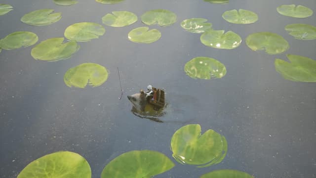 Detalle 2 de Bramble: The Mountain King — juego de aventuras