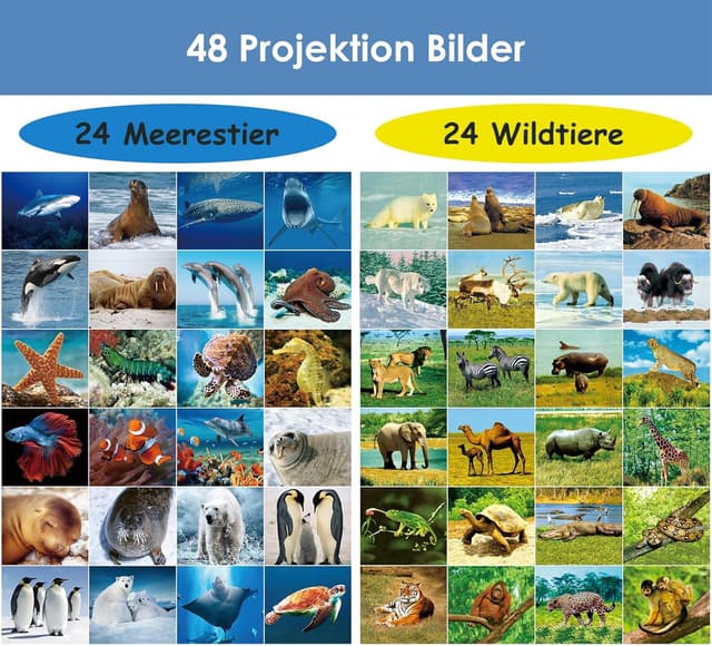 Thumbnail 6 de Pup Go 2er-Pack Taschenlampe Projektor mit Wildtiere & Seaworld – 6 Disks und 48 Bilder für Kinder