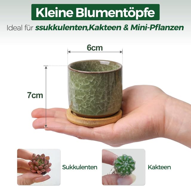 Detalle de T4U set da 6 mini vasi in ceramica da interno con sottovaso (apertura 6 cm)