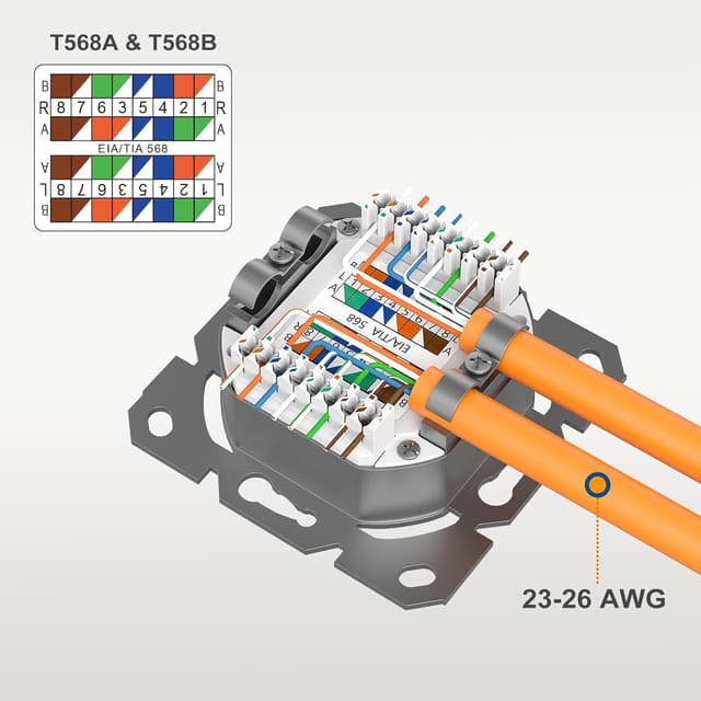 Detalle 2 de iwillink Cat7 Netzwerkdose 2 Port 10 Gigabit