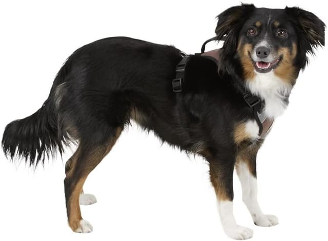 Detalle 2 de Kerbl Pet Hundegeschirr Pulsive (braun) – stufenlos verstellbar, reflektierende Flächen