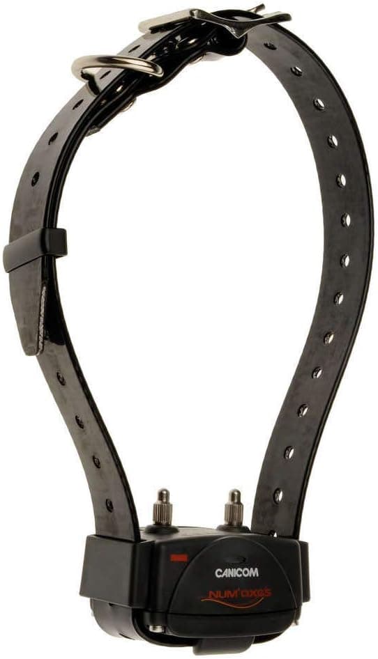 Detalle de Canicom Collare Dressage Num'axes 200 m