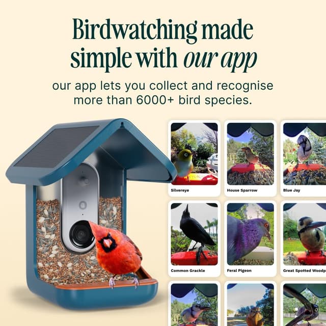 Detalle de Bird Buddy Bird Feeder Cam with AI