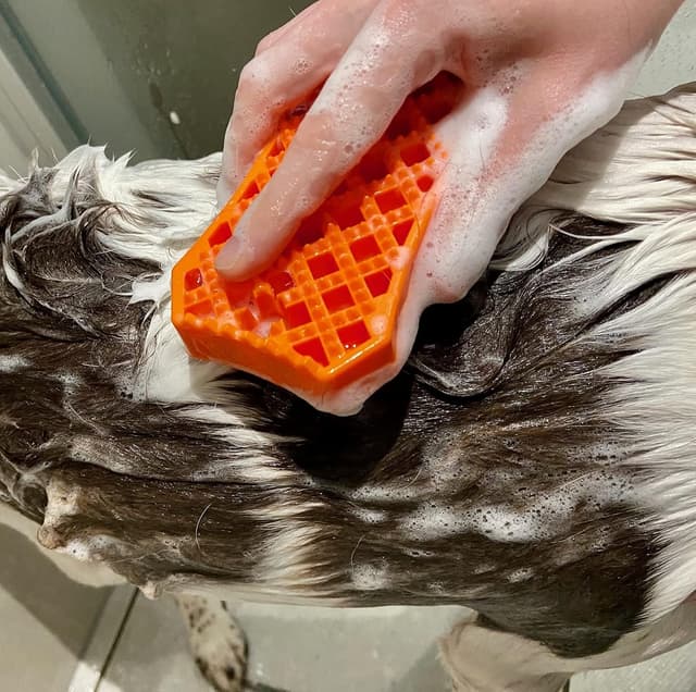 Thumbnail 6 de Wahl Pro Sheddy Brush 5-in-1 dual-head grooming brush for wet & dry use