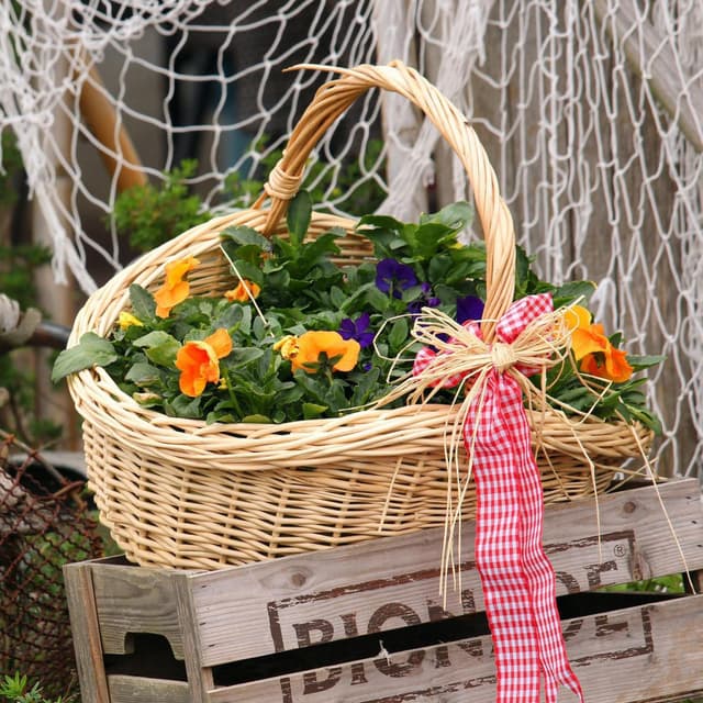 Thumbnail 2 de COM-FOUR® Conjunto red de pesca 100x200 cm