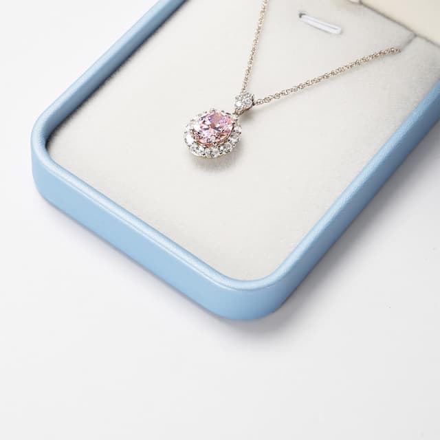 Detalle 1 de Papten Collar Organizador de Joyería 💙 Caja de Regalo