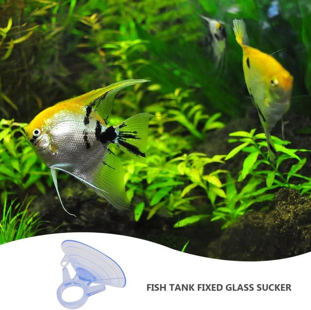 Thumbnail 4 de BESPORTBLE Suction Cup Blind Cups 12Pcs 45mm