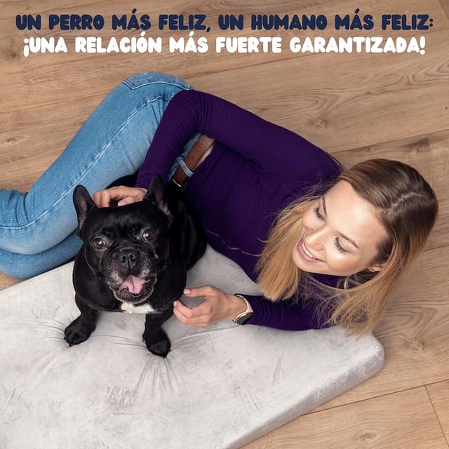 Thumbnail 4 de ZENAPOKI Cama Perro Grande XL cama ortopédica