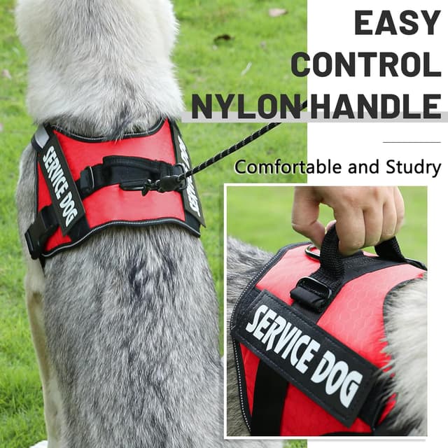 Detalle de Belababy Soft No Pull Dog Harness Medium (Red) – Adjustable Assistance Service Dog Vest with Safety Buckle