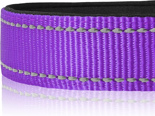 Detalle 2 de Joytale Reflective Dog Collar (Soft Neoprene Padded) – Adjustable Breathable Nylon Collar for Medium Dogs (M), Purple