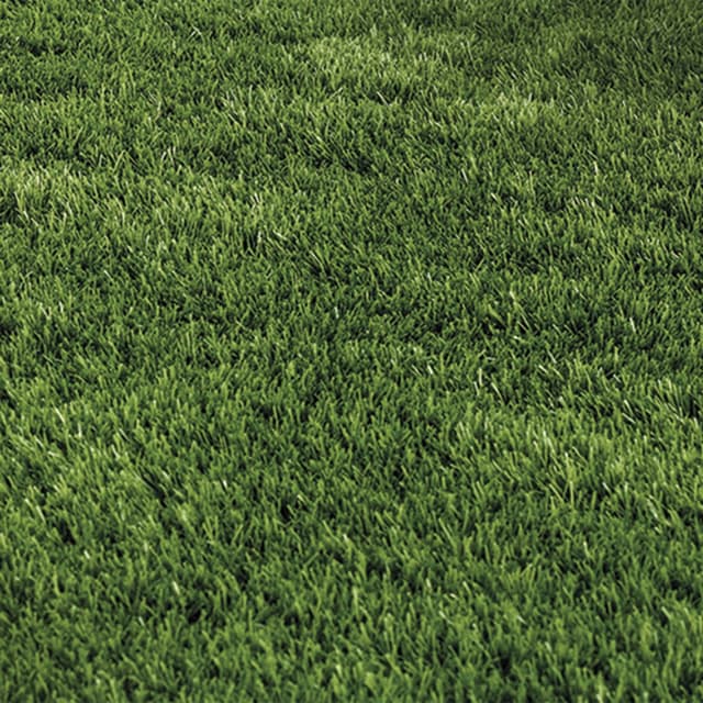 Imagen de Nortene New Piazza X-Tra S40 césped 2x10 m en OfertitasTOP